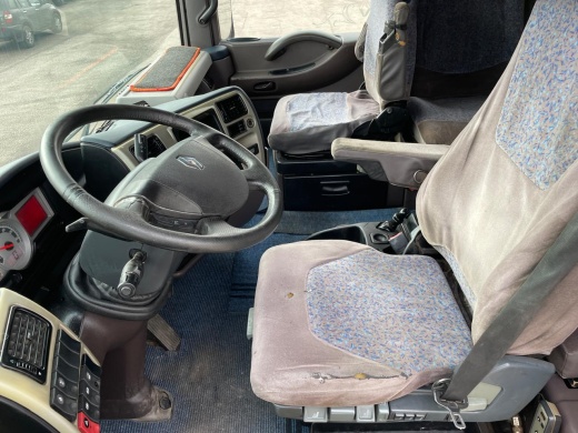 RENAULT MAGNUM. 2010 год 